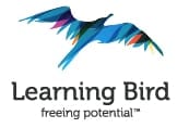 learning bird