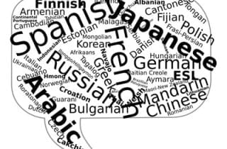multi-lingual languages
