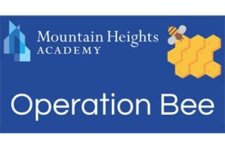 Operation Bee