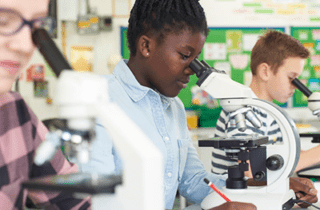 Aligning Hands-On Science Instruction to Multi-Dimensional Standards and Diverse Backgrounds