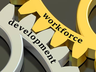 A yellow gear that says "Workforce" is connected to a gray gear that says "Development."