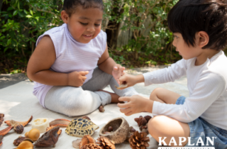 Children playing with pinecones and shells.