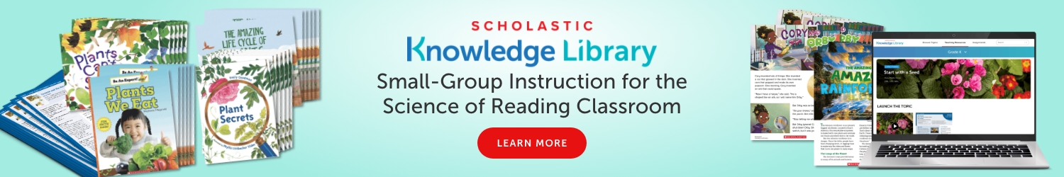 Small-Group Instruction for the Science of Reading Classroom