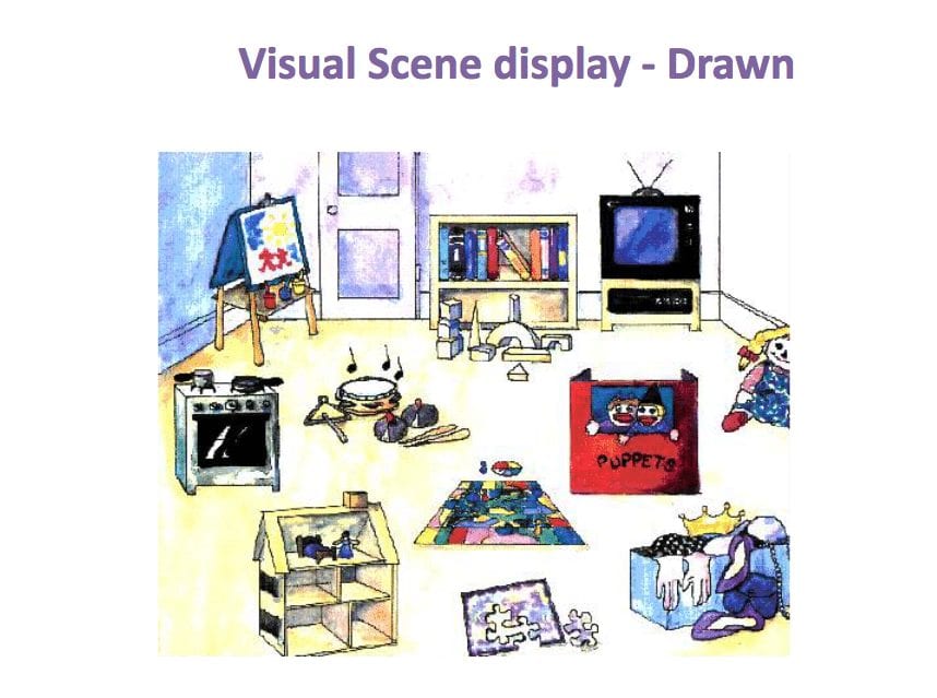 Visual scene displays for autism
