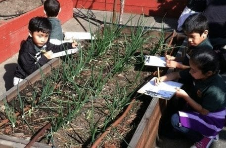 Regional Support Models for Sustaining School Gardens 