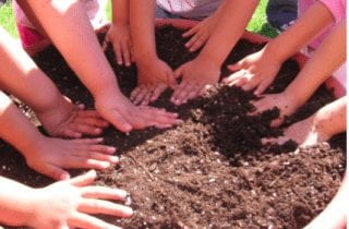 Summertime in the School Garden: Exploring Opportunities to Support and Share Your School Garden