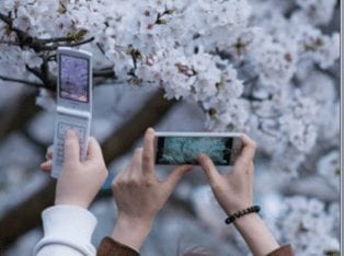 Bite-Sized Narratives: The Impact of Mobile Devices on Learning and Communication