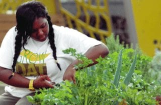 Tools to Create Social Change Through Youth Farming and Gardening