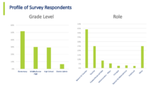 Demographic profile of survey respondents