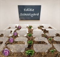 The Edible Schoolyard Project: Mapping & Engaging the Edible Education Movement